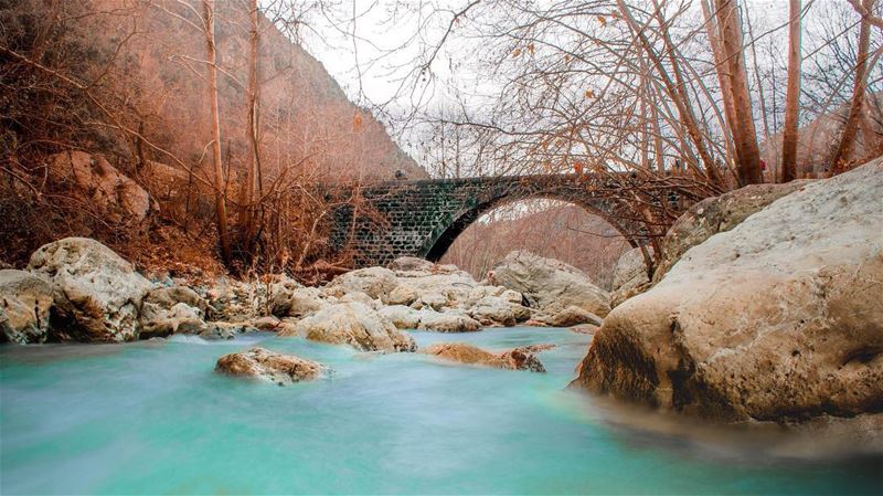  loaded_lenses  cool_capture_   moodygrams   ig_global_life   fatalframes ... (Kfardebian,Mount Lebanon,Lebanon)