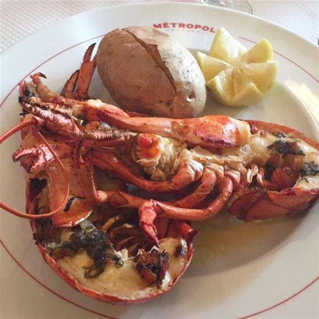  lobster  yummy  foodporn  instafood  like4like  lebanon ...