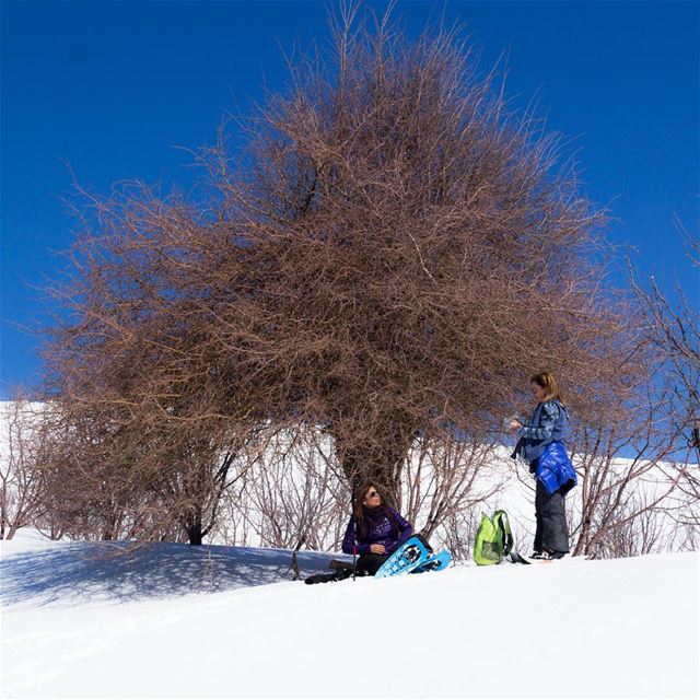 .–––––––––––––––––––––––––––––––––––Location:  Al Laqlouq  lebanon–––––– (El Laqloûq, Mont-Liban, Lebanon)