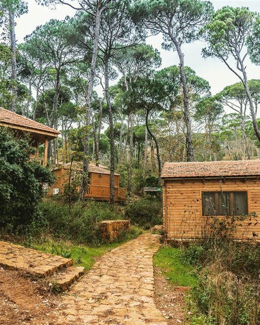 Location : Bkassine, Lebanon  earthpix  earthofficial  exploretocreate ... (La Maison de la Forêt)