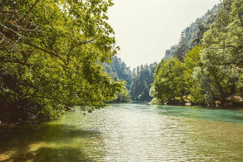 Location: Chouwen, Kesserwan, Lebanon Date: 14-05-2017Instagram : @jadma (Chouwen)