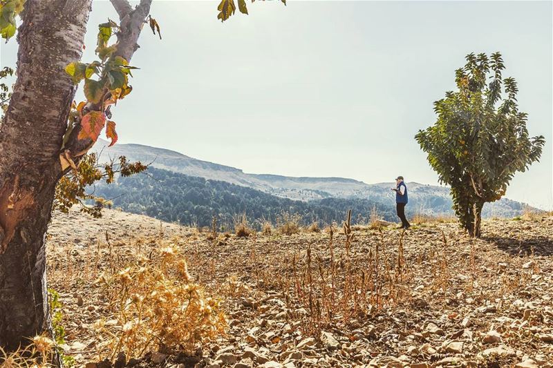 Location : Ehden, Lebanon  earthpix  earthofficial  exploretocreate ... (Ehden, Lebanon)