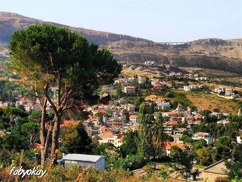 ➖➖➖➖➖➖➖➖➖➖➖➖➖➖➖➖Location :hammana/Lebanon Camera :canon 6d Photography : (Hammana)