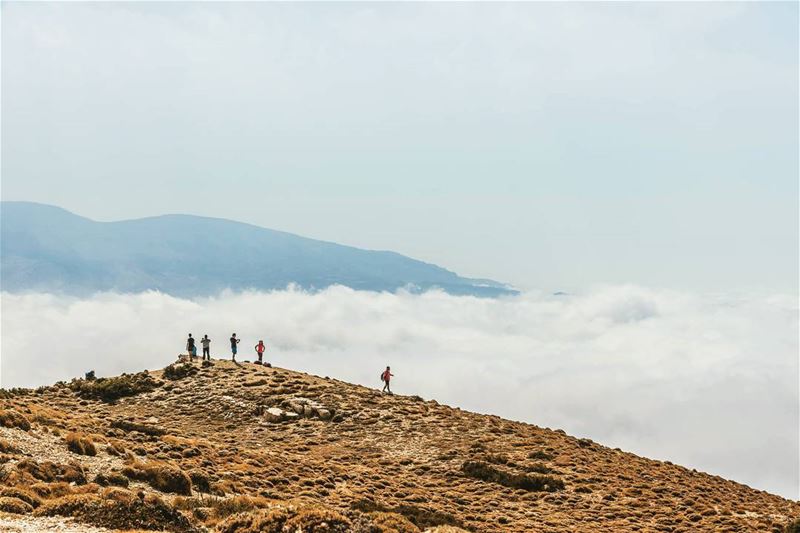 Location: Jabal Orouba, Akkar, Lebanon Date: 17-11-2017Instagram : @jadm (`Akkar, Liban-Nord, Lebanon)