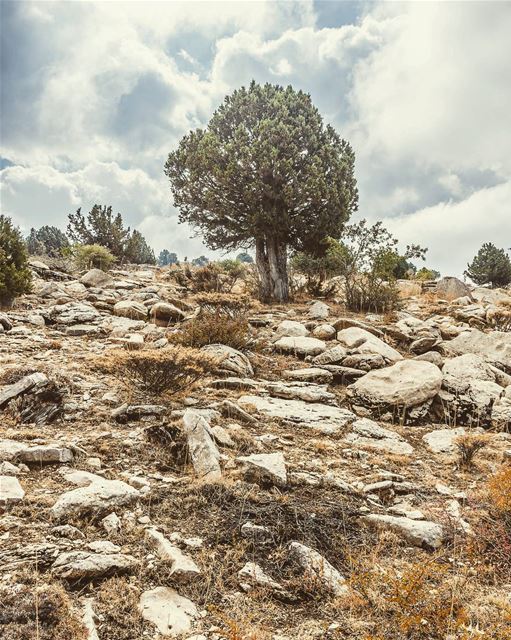 Location : North Lebanon  lebanon  hiking  nature  outdoors ... (Lebanon)