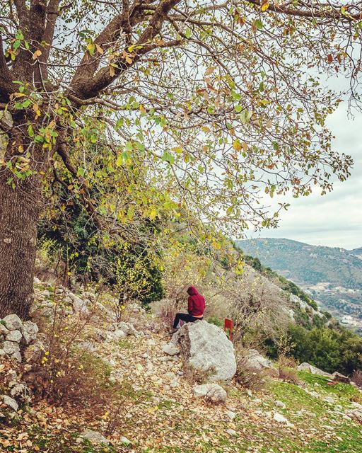 Location: Yahchouch, Lebanon Date: 30-12-2017Instagram : @jadmakarem ... (Yahchouch)