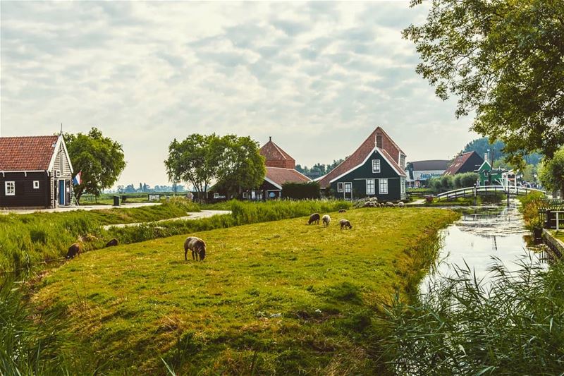 Location: Zaanse Schans, Netherlands Date: 08-2017Instagram : @jadmakare (Zaanse Schans)