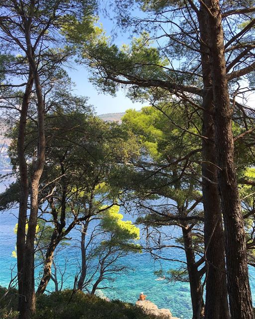 Lokrum Island 🇭🇷.... wow_planet  fantastic_earth  bestplaces_togo ... (Legends of Lokrum)