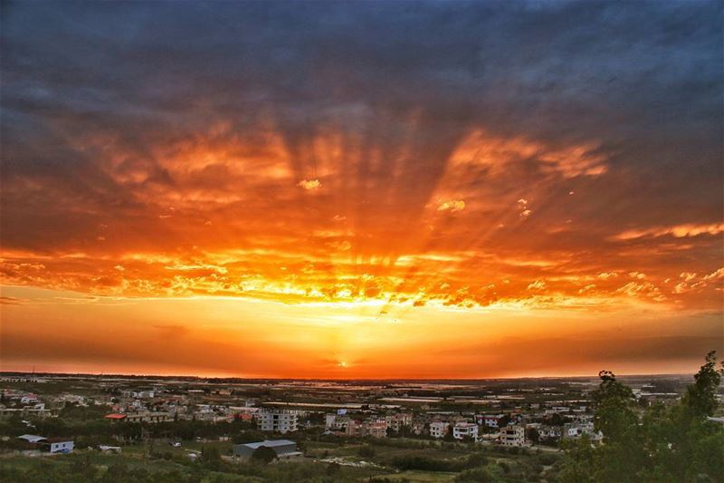 "Loneliness adds beauty to life. It puts a special burn on sunsets and... (Heker-Cheikh-taba /Akkar)
