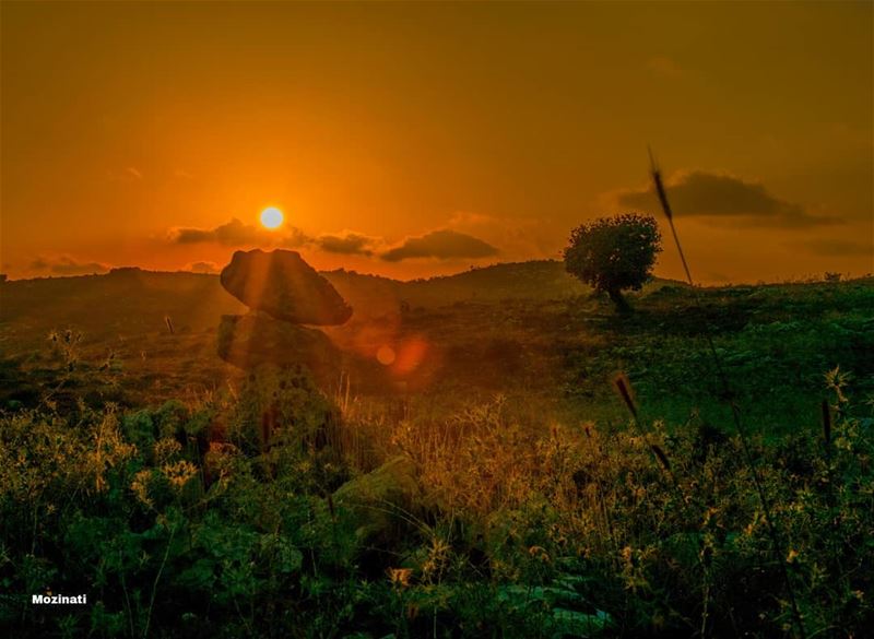 Loneliness adds beauty to life. It puts a special burn on sunsets and... (Rumin, Al Janub, Lebanon)