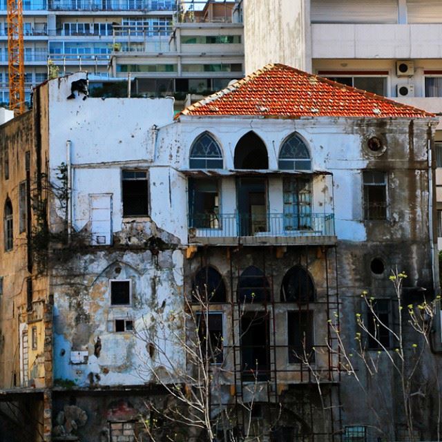 Lonely and abandonned what a cruel world  beirut_forgotten_herittage ...