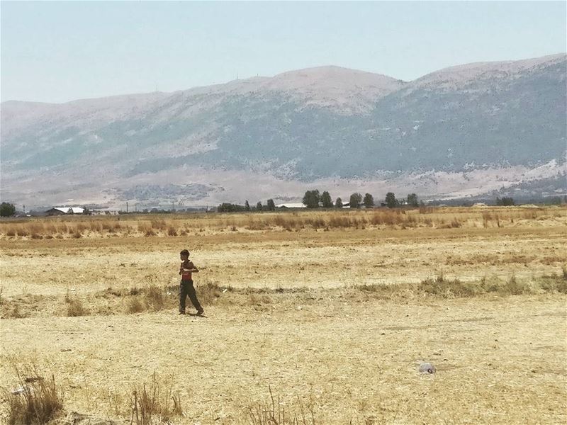 Lonely.... child  voluntary  agara  polépolé  lebanon  minimal ... (Beqaa Governorate)