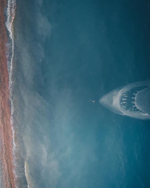 Lonely floater 🦈 (Lebanon)