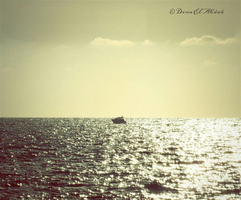Lonely in the middle of nowhere !_________________ lonely  sea  seaview ... (Joünié)
