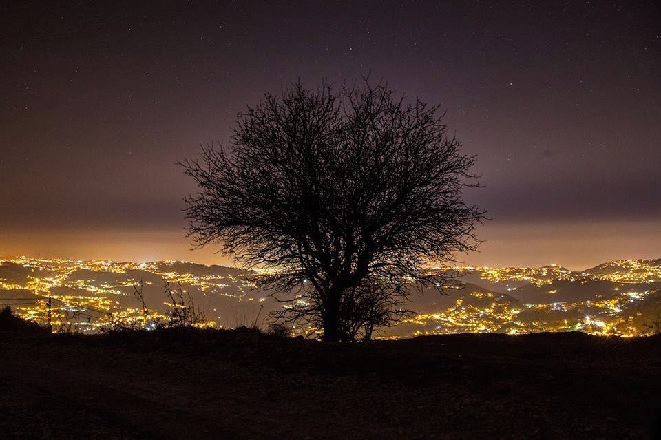 Lonely Nights........ tree  nature  Landscape  winter  sky  stars... (Jabal Fâloûgha)