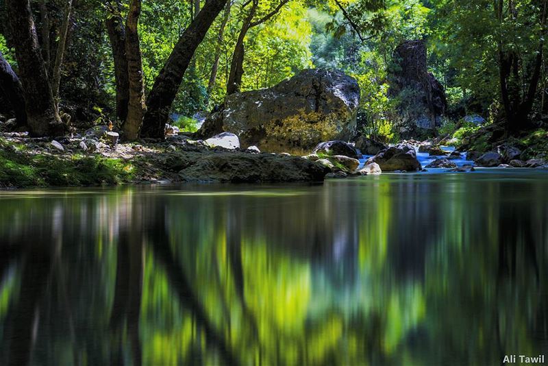  longexposure  nature  beautiful  nikon  d810  reflection ...