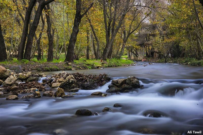 🏞 longexposure  nature   naturephotography  beautiful  instagood ... (North Governorate)