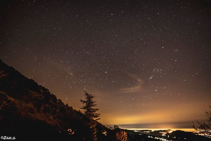 "Look at the stars, look how they shine for you"  stars  starchasing  star... (Cedars Ground Campsite)