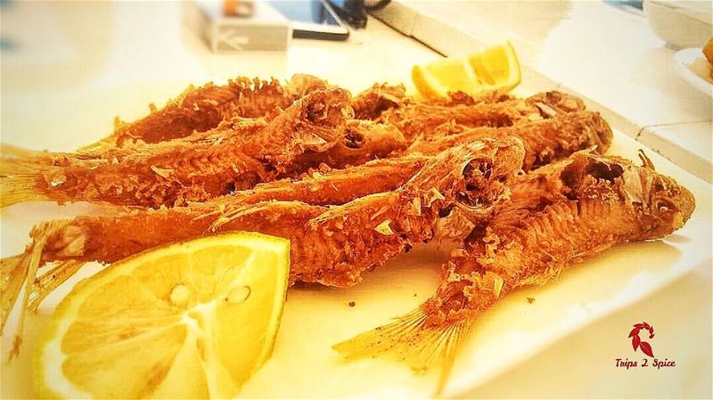 Look at those golden crisps 😍 🐟 🐟🐠.-------------------------📍 Chez... (Ta7t El Ri7 - Anfeh)