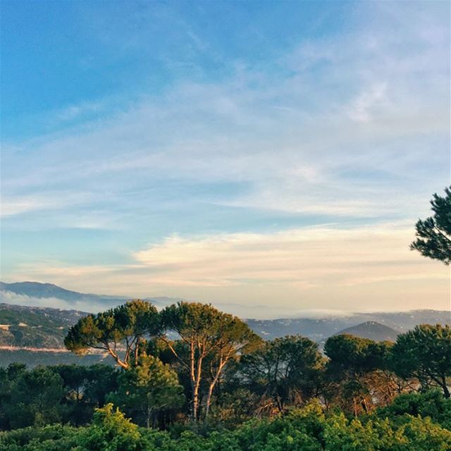 Look deep into nature and then you understand everything better 🌳🌳 (Baskinta, Lebanon)