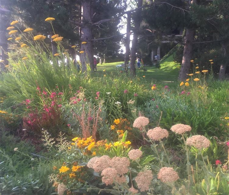 Look deep into nature,and then you will understand everything better."Alber