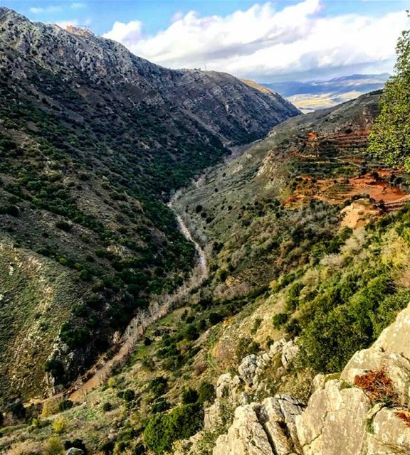 Look deep into nature, and then you will understand everything better ~Albe (Deir Mîmess, Al Janub, Lebanon)