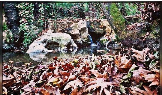 /Look deep into nature,and then you will understand everything better/... (Deir Doureet, Mont-Liban, Lebanon)