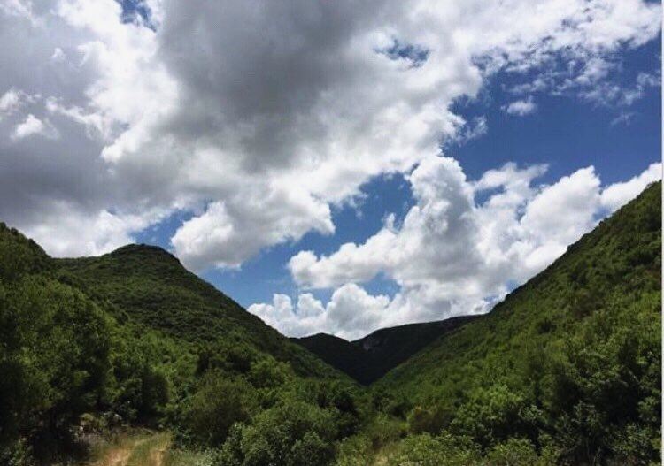 Look deep into nature, and then you will understand everything better.✨.... (Zibqin, Al Janub, Lebanon)