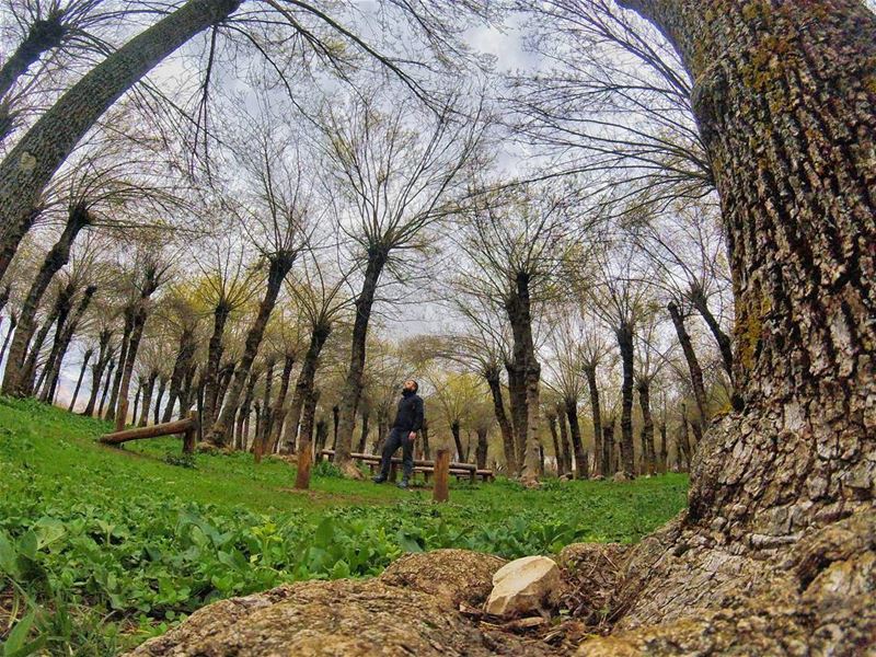 Look deep into nature and then you will  understand everything... (Deïr Taanâyel, Béqaa, Lebanon)