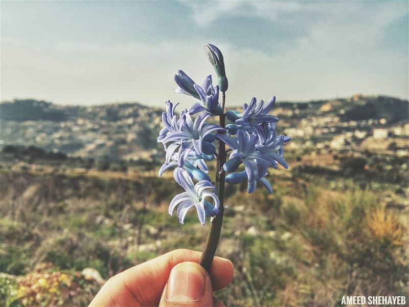 "Look deep into nature, and then you will understand everything better"-.... (Aley District)