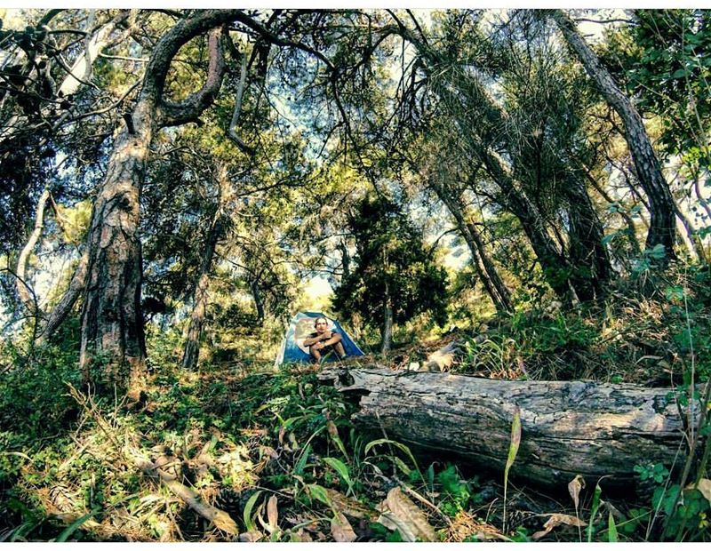 Look deep into nature, and then you will understand everything better - ... (Ehden, Lebanon)