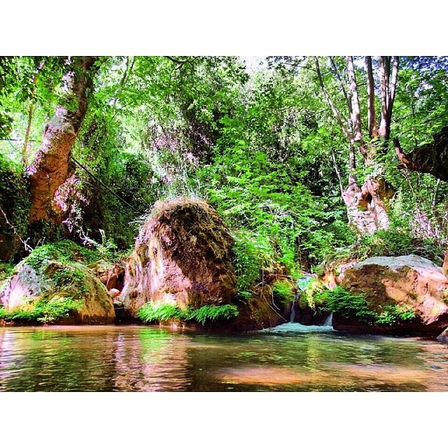 Look deep into nature, and then youwill understand everything better.... (Tannourine)