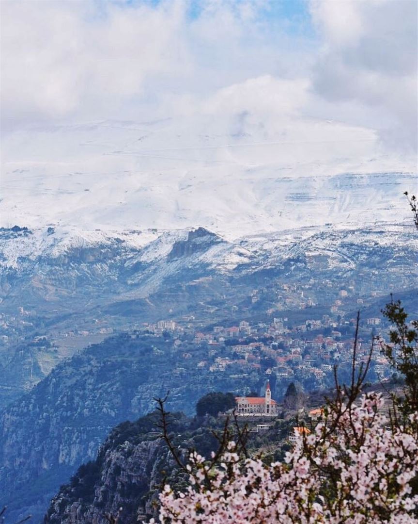 Look deep into nature, then you will understand everything better - Albert... (Hadath Al Jubbah, Liban-Nord, Lebanon)