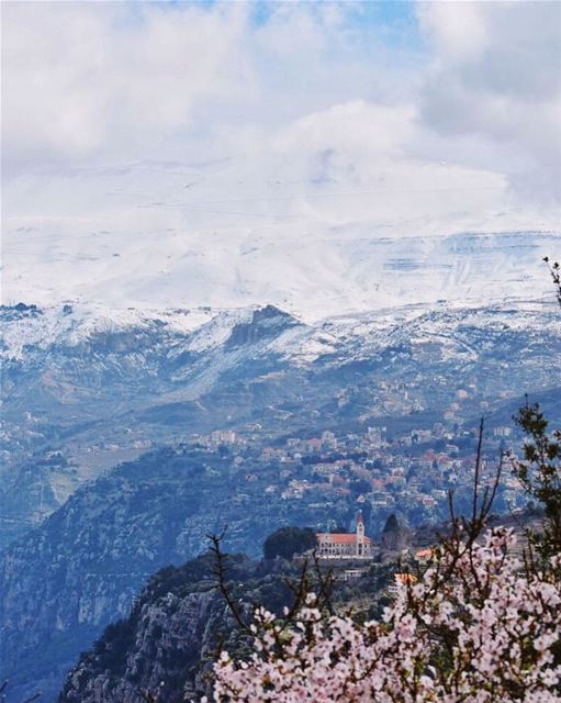 Look deep into nature, then you will understand everything better - Albert... (Hadath Al Jubbah, Liban-Nord, Lebanon)