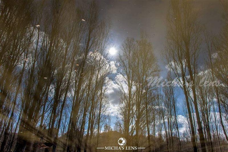 Look deeply beyond a normal photo  lebanonbylocal  discover961  lebanon ...