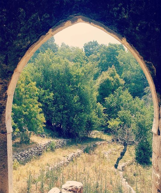 Look on every exit as being an entrance somewhere else. hikingadventures... (Jabal Moûssi)