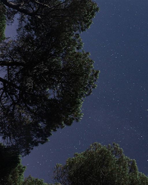 Look up at the sky. There is a light, a beauty up there, that no shadow... (Marj Biskinta, Mont-Liban, Lebanon)