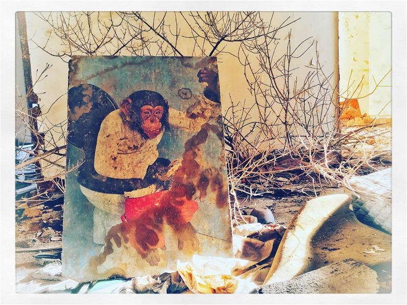 Look what I have found in this forsaken building in ... (Beirut, Lebanon)