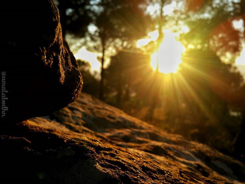 Looking at beauty in the world, is the first step of purifying the mind 📷�