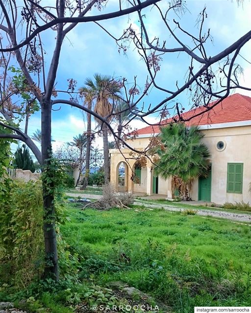 Looking at beauty in the world, is the first step of purifying the mind 🏡... (Tyre, Lebanon)