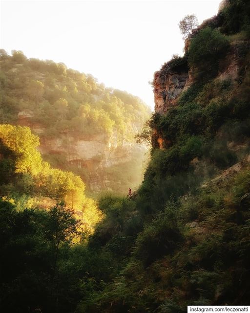 Looking back at the beginning, Like I just, can't look away.... (Baskinta, Lebanon)