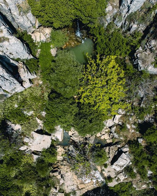 Looking forward to dive again into this hidden paradise 😍💚 ... (Lebanon)