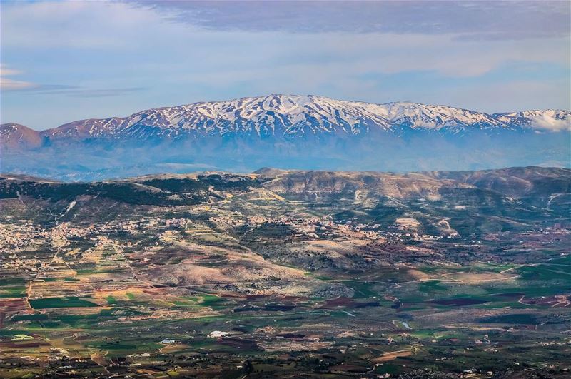 👀 Looking over the most Southern Lebanese Mountain - Mount Hermon - from... (محمية ارز الشوف)