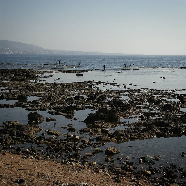 Los pescadores -  ichalhoub in  Tripoli north  Lebanon /  tripoli24 ...