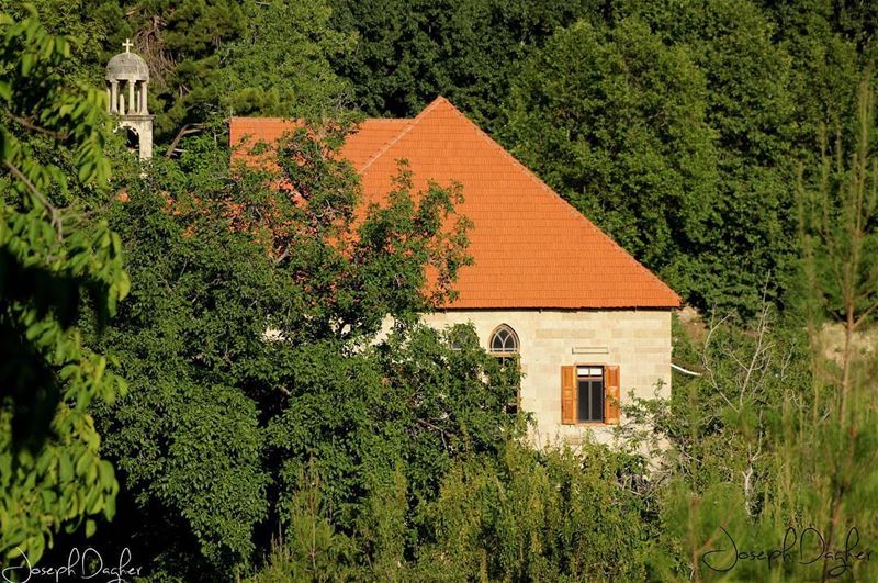 Lost in Heaven 💛💚... (Ehden, Lebanon)