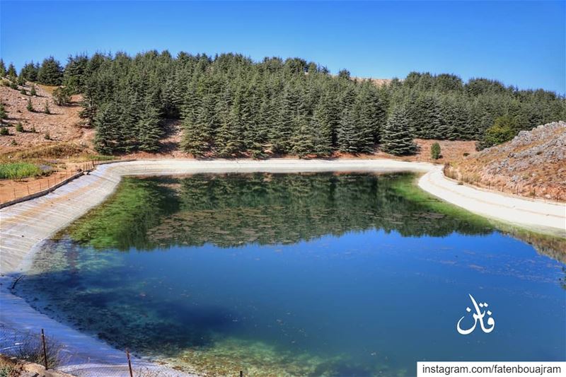 .Lost in heaven@shoufreserve👉Follow and Tag👈➡@instaamici➡@liveloveba (Al Shouf Cedar Nature Reserve)