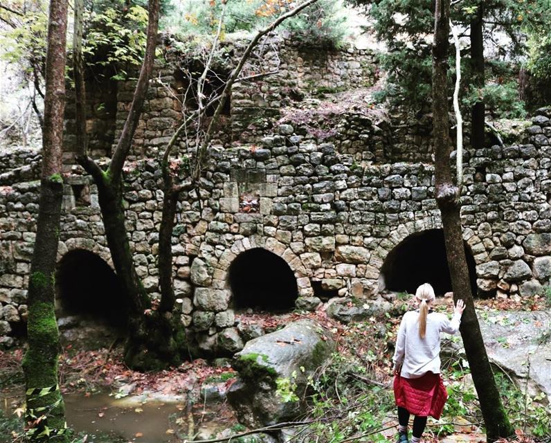 Lost in paradise ...When you finally reach a place that captures your... (Miziâra, Liban-Nord, Lebanon)