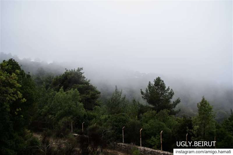 Lost in the Fog Alay Lebanon🇱🇧.... beirut  uglybeirut  nature ... (`Alayh, Mont-Liban, Lebanon)
