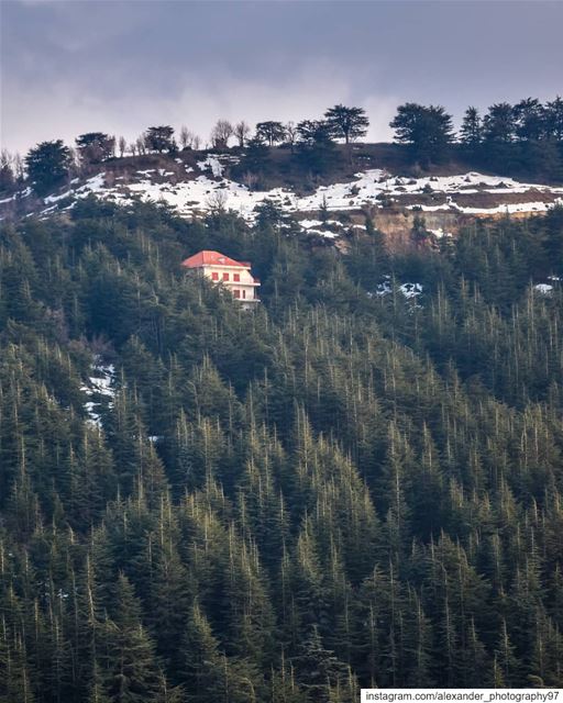 Lost in the woods 🌲🏠 - Would you like to live in this amazing place?... (Hadath El-Jubbah, Liban-Nord, Lebanon)
