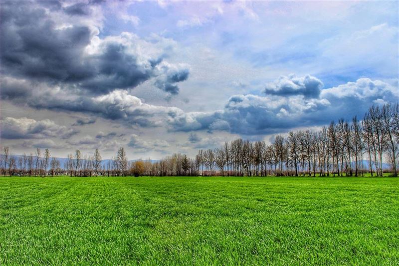 Love all creation, and you will feel heaven on earth. 🍃🌱🌿🍀🌲🌾☘☁🌝🇱🇧... (Taanayel Lake)